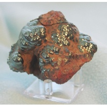 oligist1