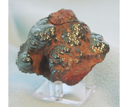 oligist1